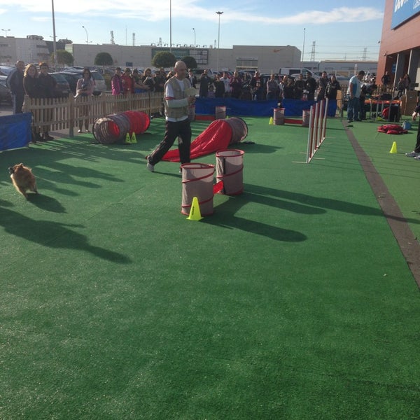 Photos at Decathlon Castellón - Sporting Goods Shop in Castelló de La Plana
