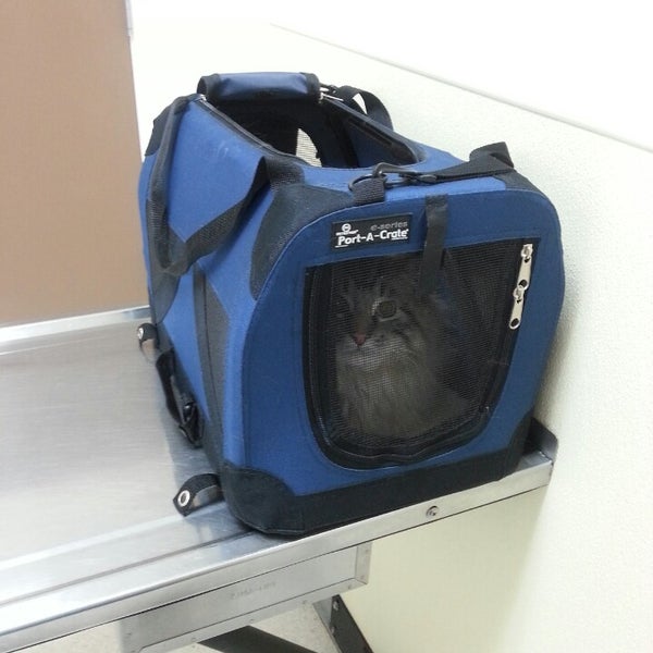 Value Pet Clinic Renton 1 tip from 100 visitors