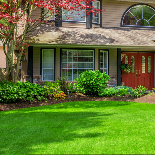 Brockman Tree Lawn Care Fairport Ny