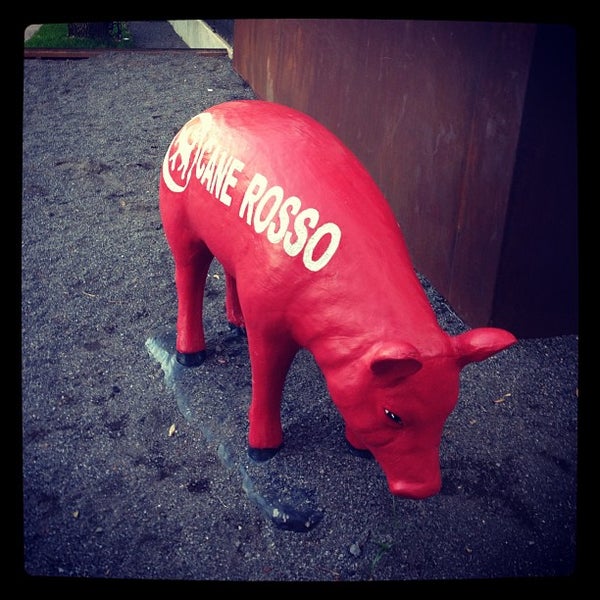 Cane Rosso Lakewood Hills Dallas, TX