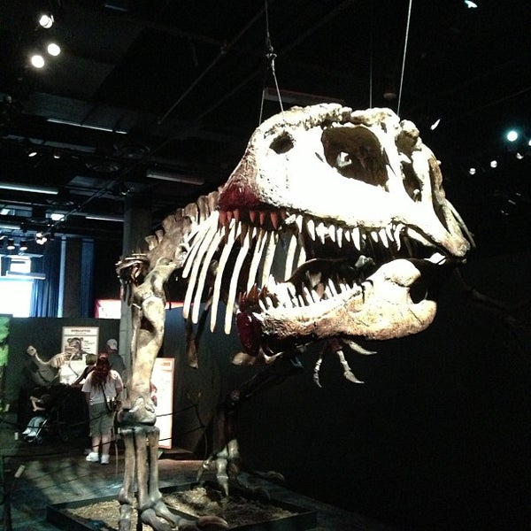 arizona-science-center-science-museum-in-phoenix