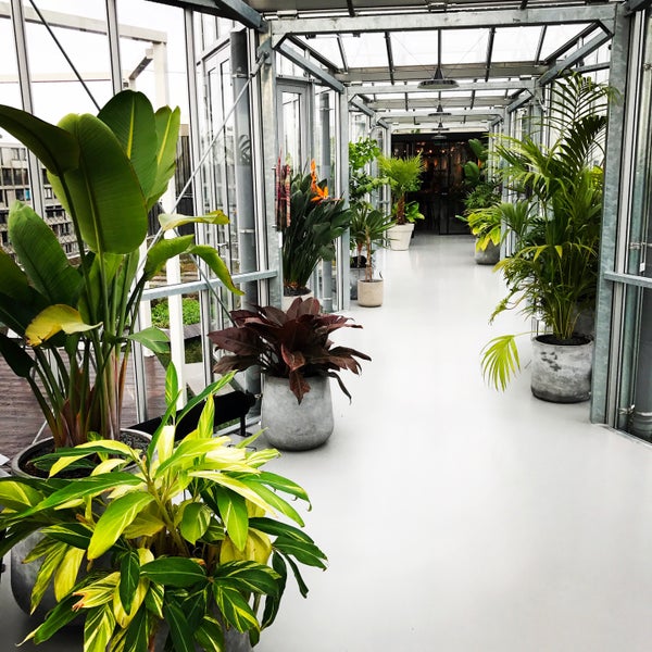 Where's Good? Holiday and vacation recommendations for Amsterdam, Paesi Bassi. What's good to see, when's good to go and how's best to get there.