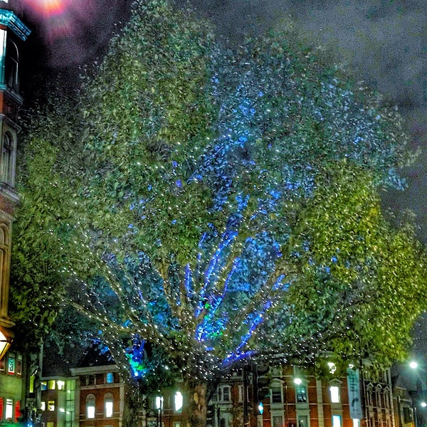 Hammersmith Neighborhood in Hammersmith