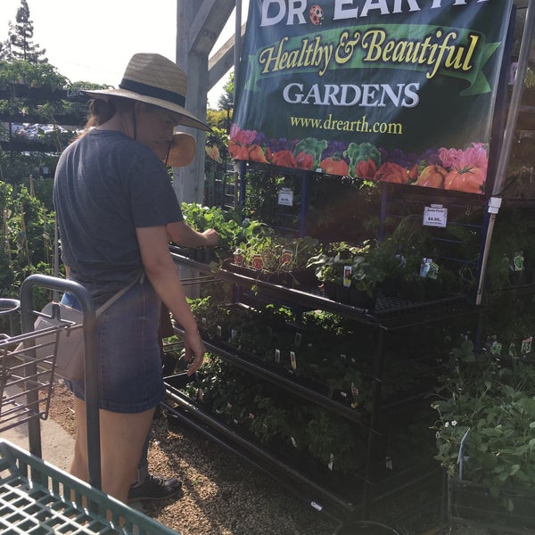 Photos At Almaden Valley Nursery Blossom San Jose Ca Photo Taken At Almaden Valley Nursery By Per L On 4 23 2018