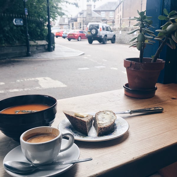 velocity bicycle shop