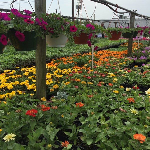 Photos At Joseph S Nursery Pearland Tx Photo Taken At Joseph 39 S Nursery By Stephanie W On