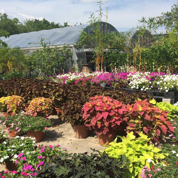 Photos At Joseph S Nursery Pearland Tx Photo Taken At Joseph 39 S Nursery By Stephanie W On
