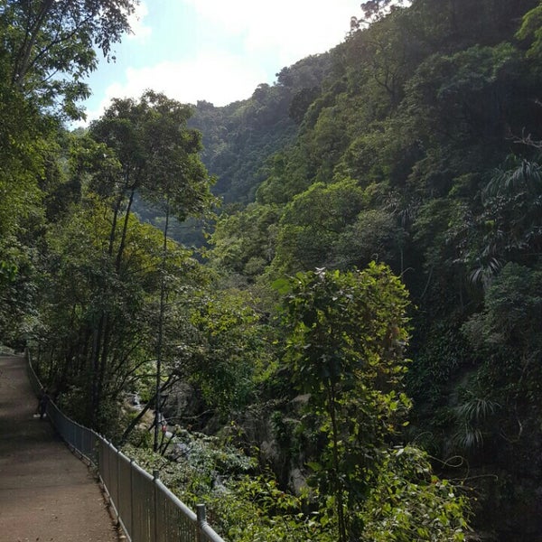 Crystal Cascades Redlynch, QLD
