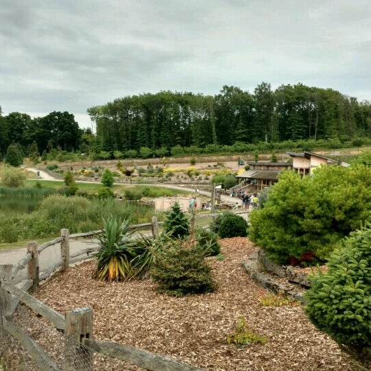 Bedgebury National Trail