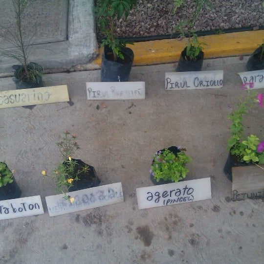Vivero Municipal - Jardín