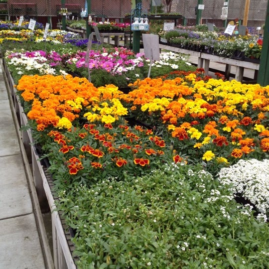 Johnson garden center morgan hill coupons