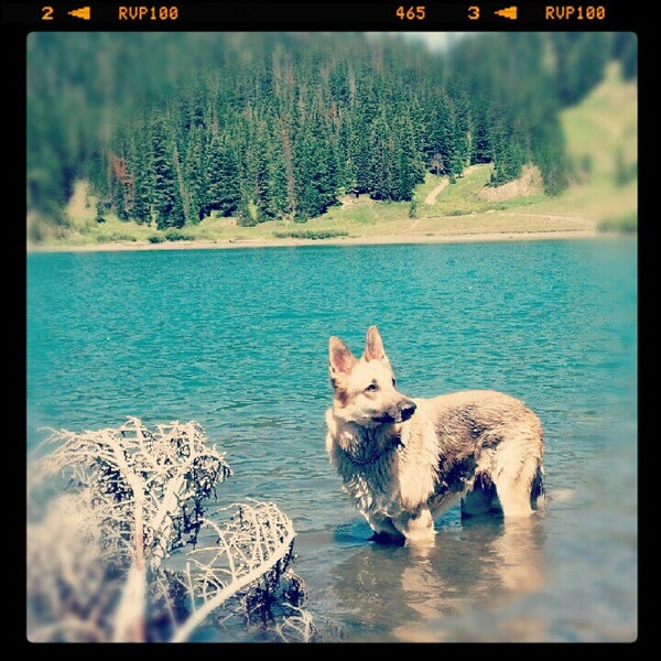 Crested Butte, CO 5 tips from 1223 visitors