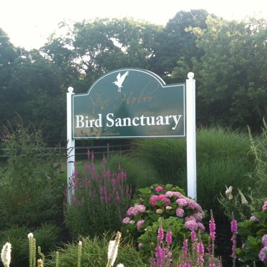 Stone Harbor Bird Sanctuary Stone Harbor, NJ