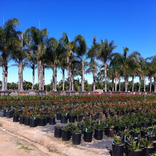 Photos At Miramar Whole Nursery San Go Ca Photo Taken At Miramar Whole Nursery By Crissy On 1 25 2017