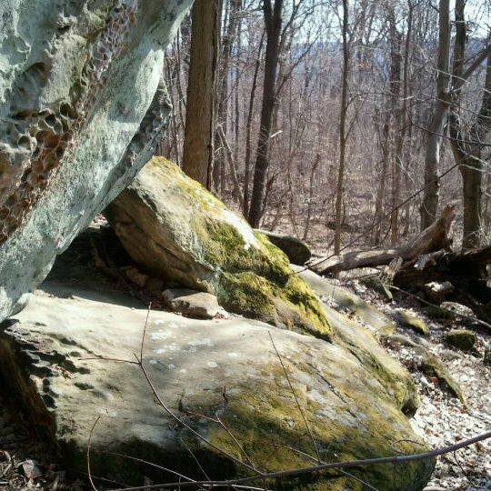 Whipps Ledges Trail in hinckley