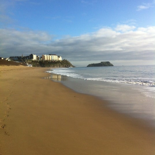 Are Dogs Allowed On Tenby Beach Are Dogs Allowed On Tenby Beach