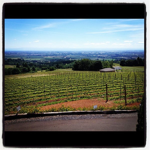 White Rose Winery Winery