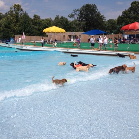 Great Waves Waterpark Water Park in Alexandria