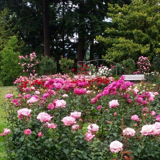 Photos at International Rose Test Garden - Botanical Garden