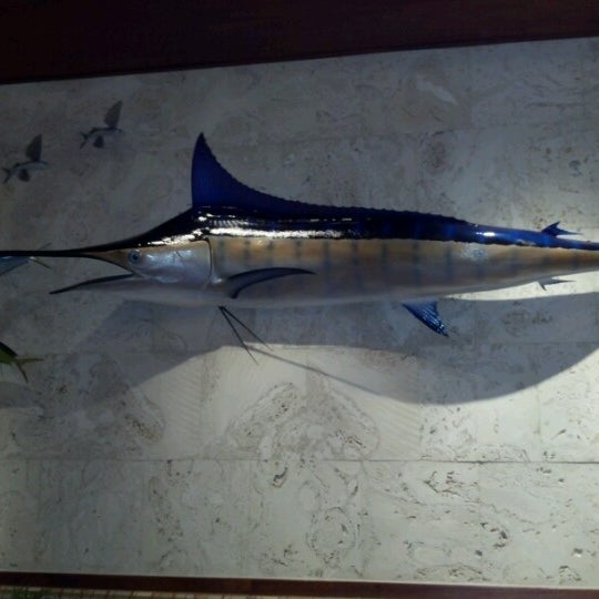 Marlin Darlin Grill (Now Closed) - 33 tips