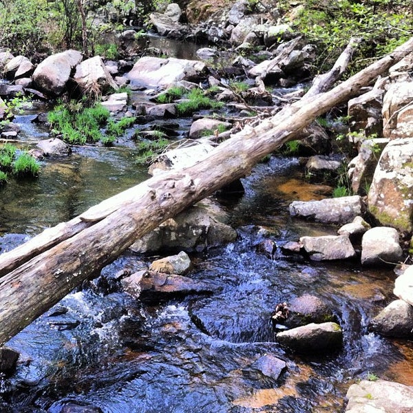 Hawn State Park Trail in Ste Genevieve