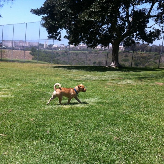 Grape Street Dog Park - Balboa Park - Grape St