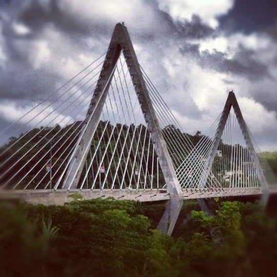 Puente Atirantado