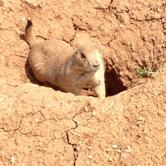 Redbud Park Park in Abilene