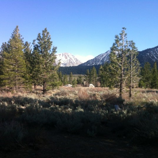 The Mammoth Creek Inn 633 Old Mammoth Rd.