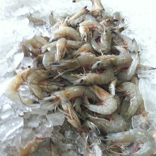 Katie's Seafood Market Fish Market in Galveston Harbor