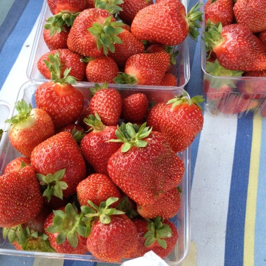 Carrboro Farmers Market Farmers Market