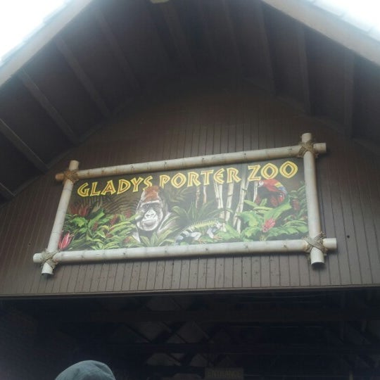 gladys porter zoo gorillas