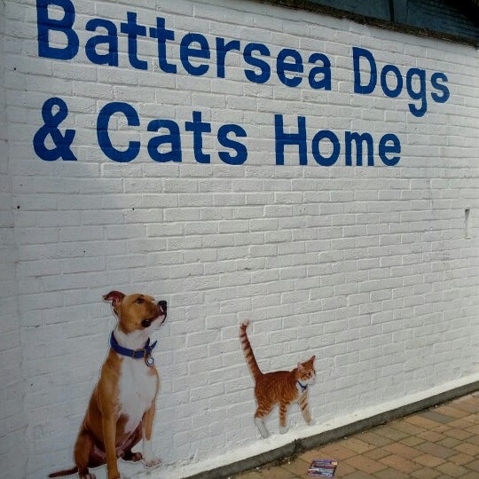 battersea dogs home t shirts