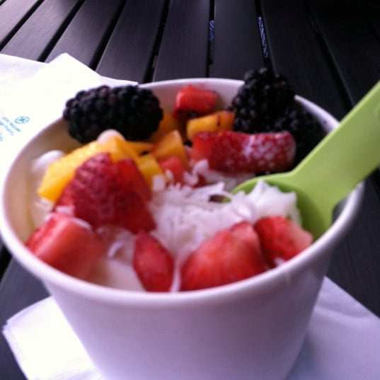 Mochi Frozen Yogurt Frozen Yogurt Shop in Jacksonville