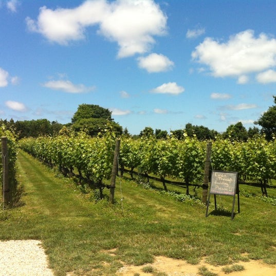 Jamesport Vineyards Jamesport, NY