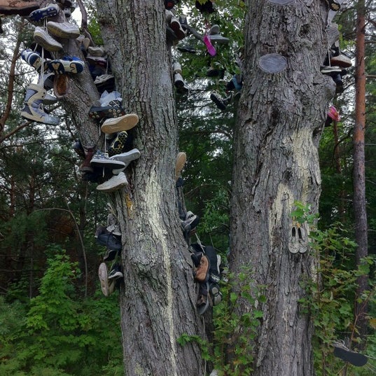 Shoe Tree On 131 Kalkaska, MI