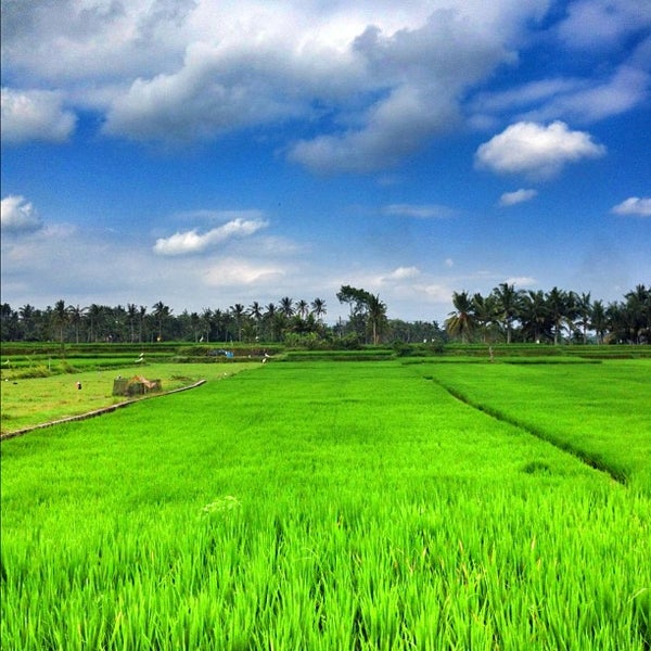  Sawah Indah Indonesian Restaurant in Gianyar