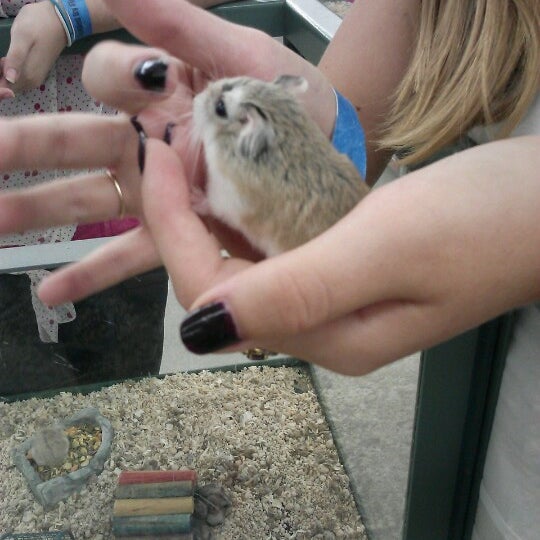 Petland Pet Store in Pensacola