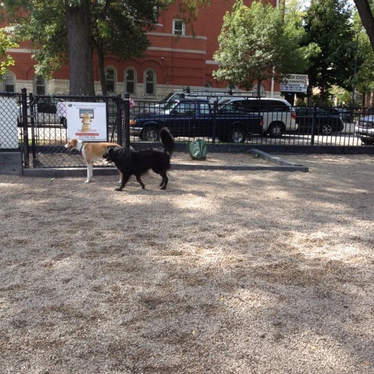 Hamlin Dog Park Roscoe Village 10 tips