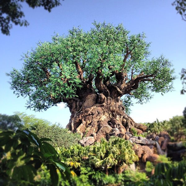 The Tree of Life - Walt Disney World Resort - Discovery Island, Animal