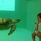 久米島ウミガメ館