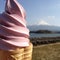 河口湖自然生活館