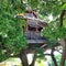 三ッ沢・羽沢