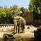 天王寺動物園