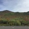 ニセコアンヌプリ山頂 (1,308m)