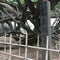 舞鶴公園