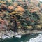 天川薬湯センター みずはの湯