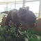 香川県立ミュージアム