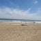 野手浜海水浴場
