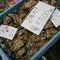 魚の安い店 斉藤商店